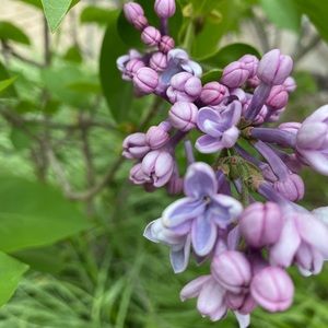 Meet your Posher, Lynn